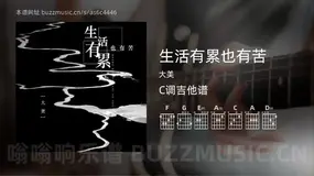 生活有累也有苦吉他谱C调 大美 简单版