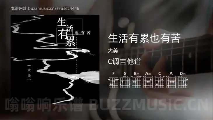 生活有累也有苦吉他谱C调 大美 简单版