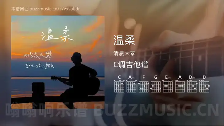 温柔 清晨大攀 吉他谱C调简单版