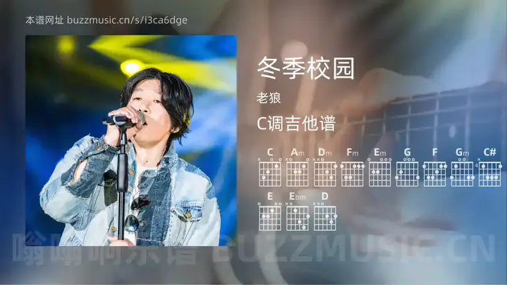 冬季校园 老狼 吉他谱C调简单版
