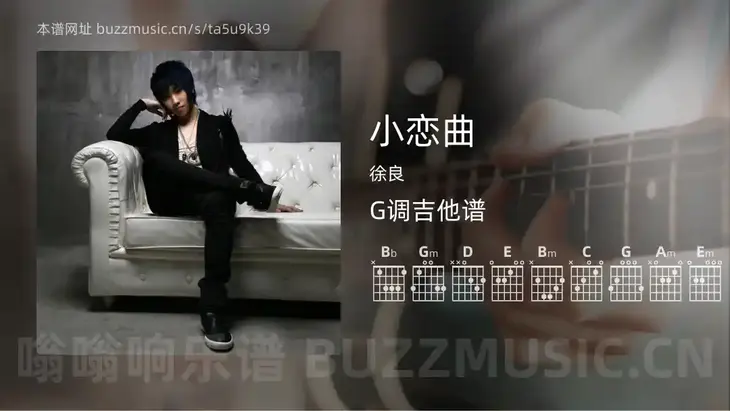 小恋曲 徐良 吉他谱G调简单版