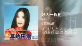 好大一棵树 田震 吉他谱G调简单版