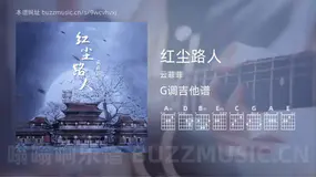 红尘路人吉他谱G调 云菲菲 简单版