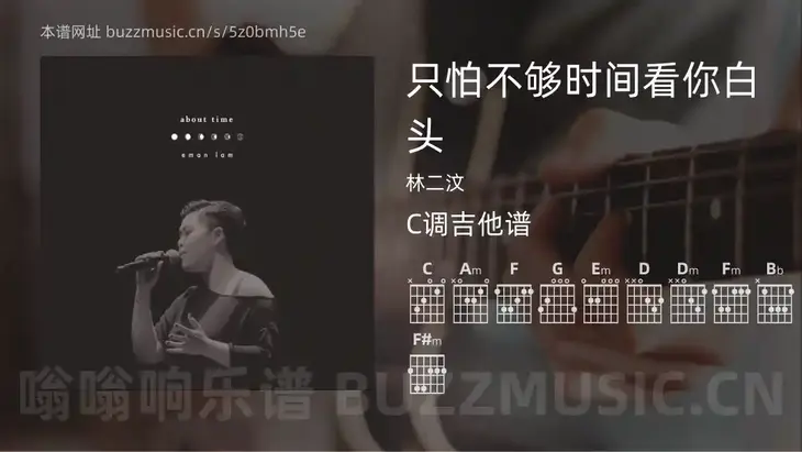 只怕不够时间看你白头 林二汶 吉他谱C调简单版