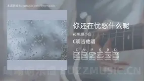 你还在忧愁什么呢 花粥,厘小白 吉他谱C调简单版