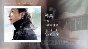 纯真 许巍 吉他谱G调简单版