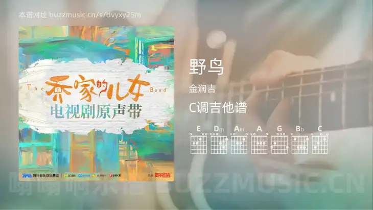 野鸟吉他谱C调 金润吉 简单版