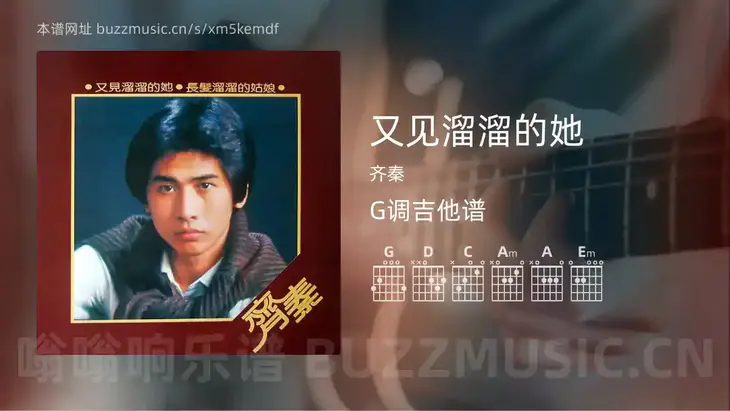 又见溜溜的她 齐秦 吉他谱G调简单版