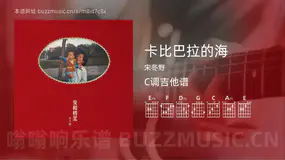 卡比巴拉的海 宋冬野 吉他谱C调简单版