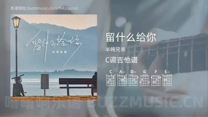 留什么给你 半吨兄弟 吉他谱C调简单版
