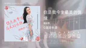 你是我今生最美的情缘吉他谱G调 魏新雨 简单版