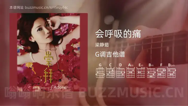 会呼吸的痛 梁静茹 吉他谱G调简单版