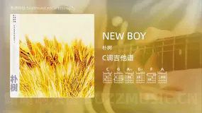 NEW BOY 朴树 吉他谱C调简单版