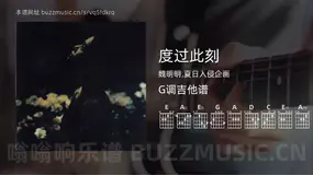 度过此刻 魏明明,夏日入侵企画 吉他谱G调简单版