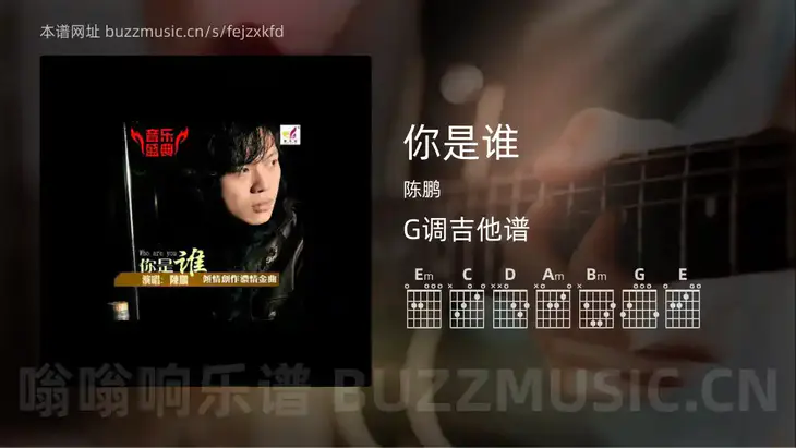 你是谁 陈鹏 吉他谱G调简单版