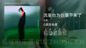 流星也为你落下来了 王源 吉他谱G调简单版