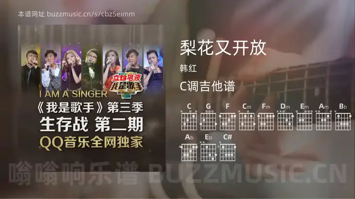 梨花又开放吉他谱C调 韩红 简单版