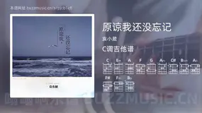 原谅我还没忘记 袁小葳 吉他谱C调简单版