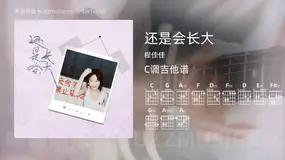 还是会长大 程佳佳 吉他谱C调简单版