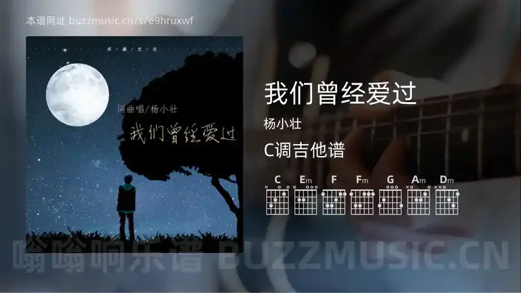 我们曾经爱过 杨小壮 吉他谱C调简单版