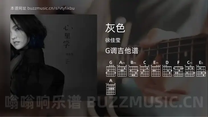 灰色 徐佳莹 吉他谱G调简单版