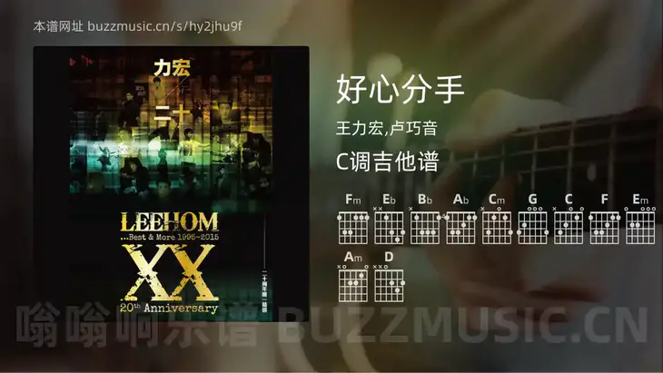 好心分手 王力宏,卢巧音 吉他谱C调简单版