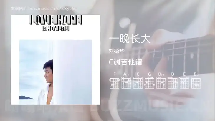 一晚长大 刘德华 吉他谱C调简单版