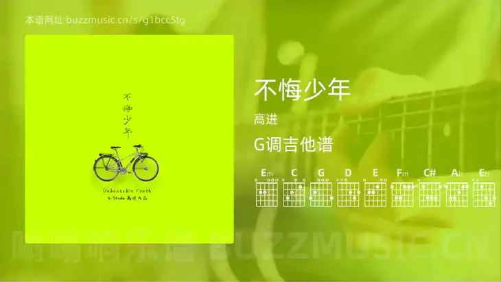 不悔少年 高进 吉他谱G调简单版