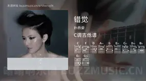 错觉 孙燕姿 吉他谱C调简单版