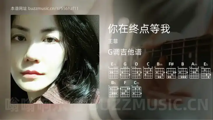 你在终点等我 王菲 吉他谱G调简单版