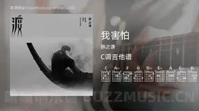 我害怕 薛之谦 吉他谱C调简单版