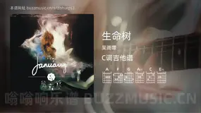 生命树 吴雨霏 吉他谱C调简单版