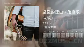 坚强的理由（角度乐队版）吉他谱G调 琴兽小飞 简单版