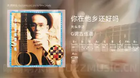 你在他乡还好吗吉他谱G调 光头李进 简单版