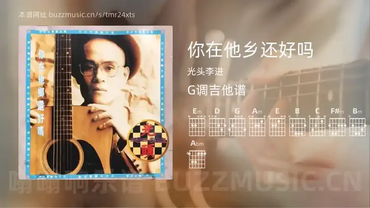 你在他乡还好吗吉他谱G调 光头李进 简单版