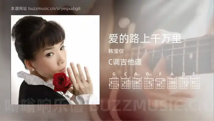 爱的路上千万里吉他谱C调 韩宝仪 简单版