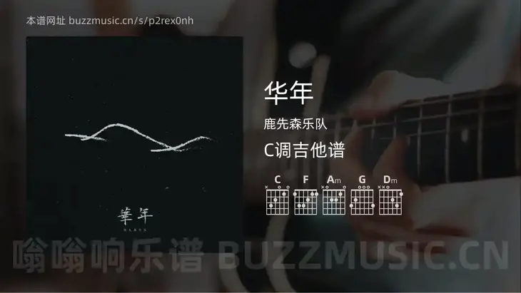 华年 鹿先森乐队 吉他谱C调简单版