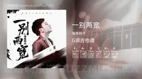 一别两宽 海来阿木 吉他谱G调简单版