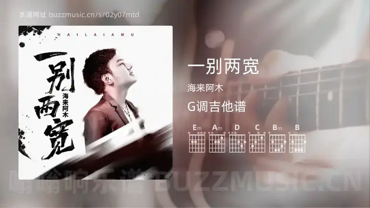一别两宽 海来阿木 吉他谱G调简单版