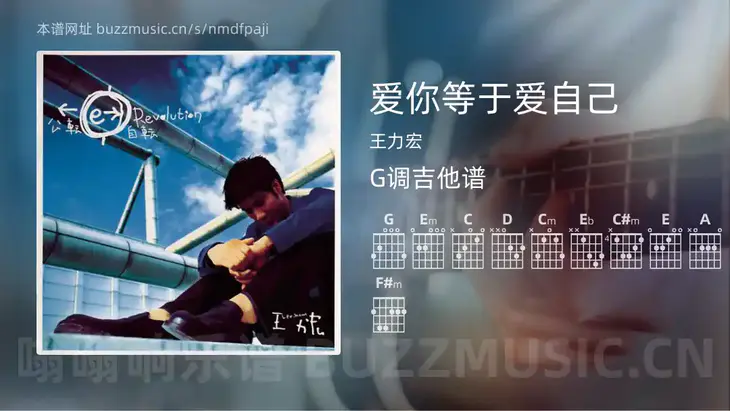 爱你等于爱自己 王力宏 吉他谱G调简单版