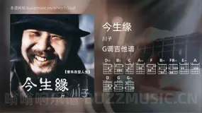 今生缘 川子 吉他谱G调简单版