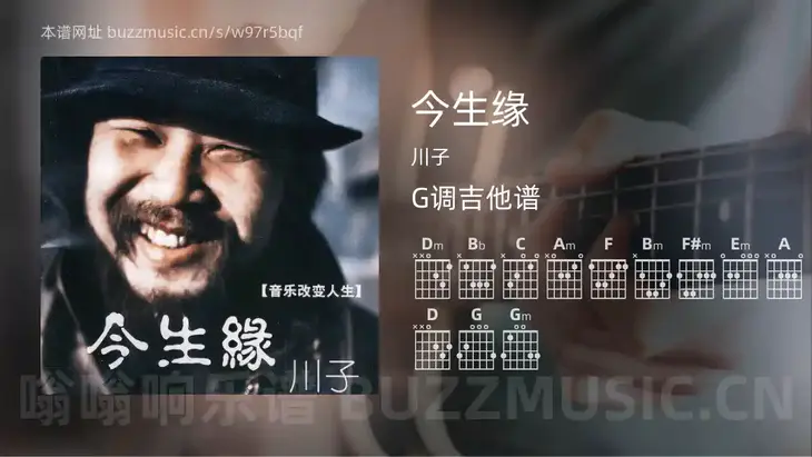今生缘 川子 吉他谱G调简单版