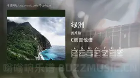 绿洲吉他谱C调 姜贰拾 简单版