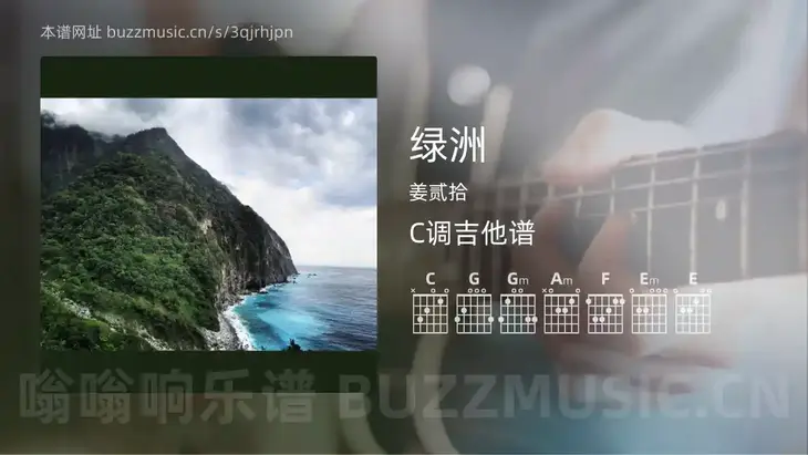 绿洲吉他谱C调 姜贰拾 简单版