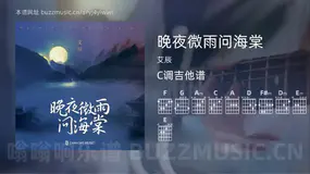 晚夜微雨问海棠 艾辰 吉他谱C调简单版