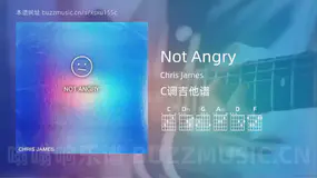 Not Angry Chris James 吉他谱C调简单版