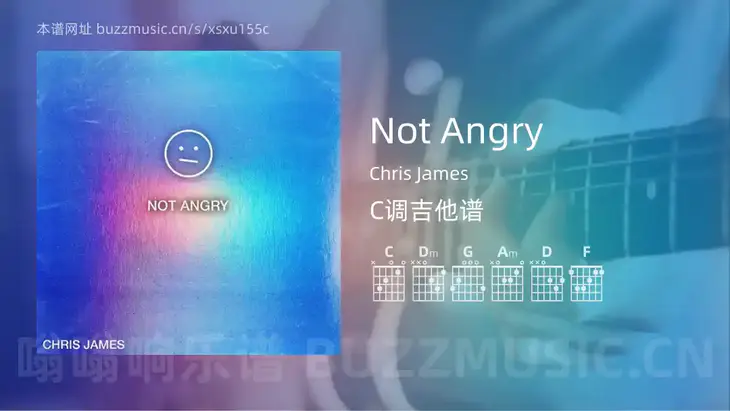 Not Angry Chris James 吉他谱C调简单版