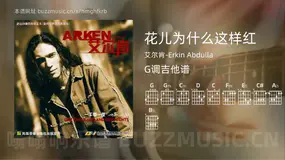 花儿为什么这样红吉他谱G调 艾尔肯-Erkin Abdulla 简单版
