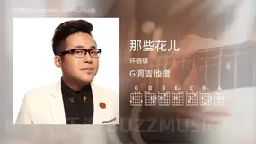 那些花儿吉他谱G调 许鹤缤 简单版