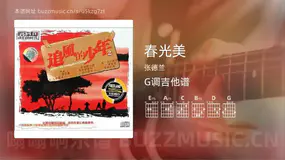 春光美吉他谱G调 张德兰 简单版
